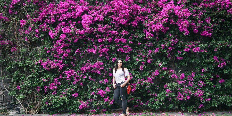 Sesión vacaciones en la Ciudad de México